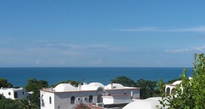 Beach/ocean view