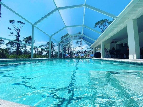 amazing pool oasis 
