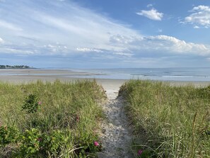 Our private neighborhood path to the beach, lined with beach roses!