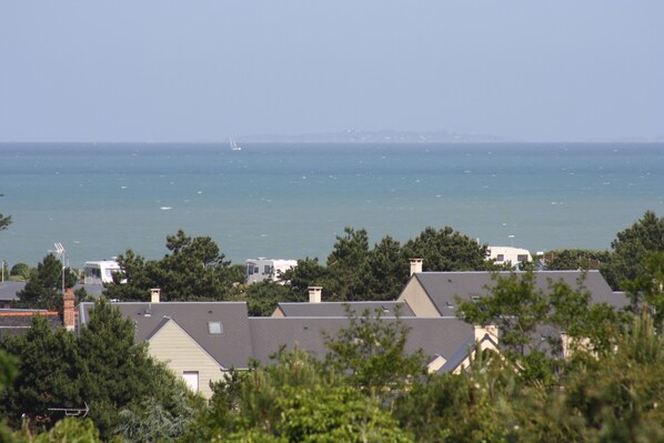 Beach/ocean view