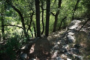 Walking paths on the property