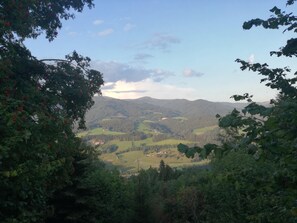 Boendeområde