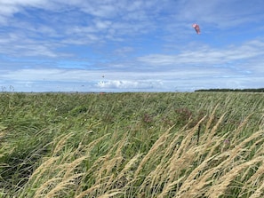 Cloud, Sky, Plant, Horizon, Natural Landscape, Agriculture, Grass, Plain, Landscape, Meadow