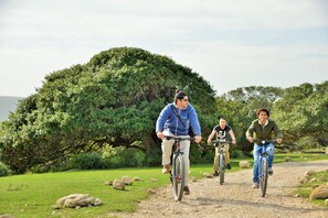 自転車