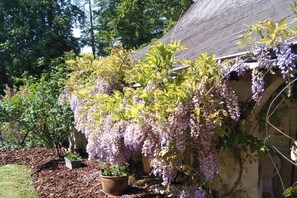 Wisteria provides shade to the terrace. Photo: Chateau de Beaulieu, Saumur.