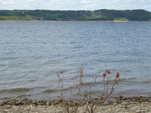 Edge of water from back of complex 