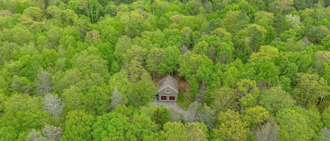 Stunning view of the house in the private woods with the ocean
