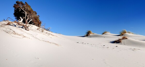 Desportos de neve e esqui