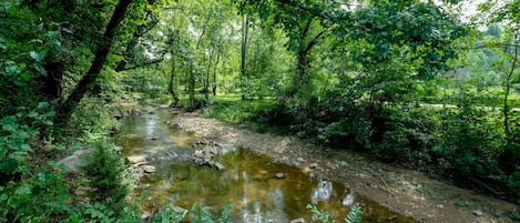 Vacation Rental in Pigeon Forge "Lee's Creekside" - Creek behind cabin