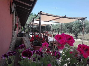 Restaurante al aire libre