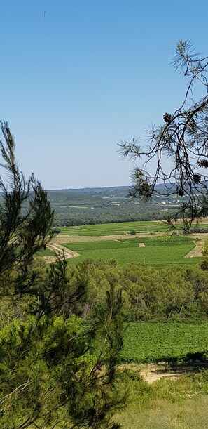 Terrain de l’hébergement 