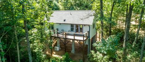 Tree Top Cottage