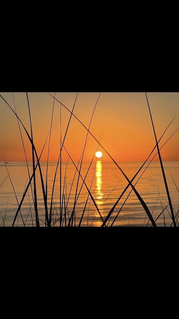 Lake Michigan most sought sunset.  