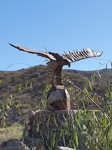 Enchantment on the Rio Grande River!