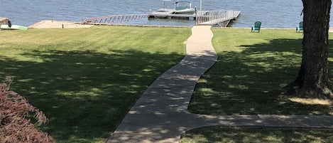 View of the backyard. 