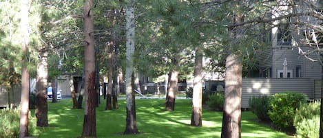 The green space in the back yard is perfect for family games or gatherings.