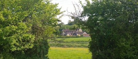 A view of Cameley lodge from the Lime Stone Link