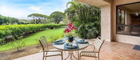 Very spacious ground floor lanai