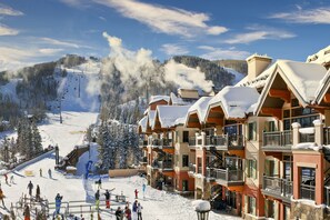 Sne- og skisport