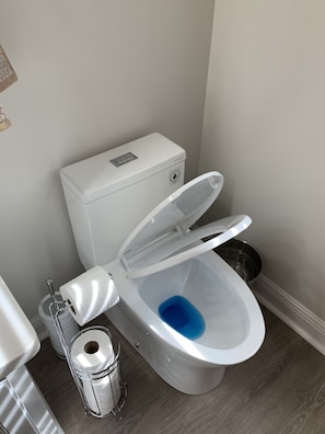 Modern soft close toilet 