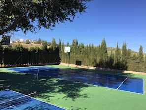 Sport court