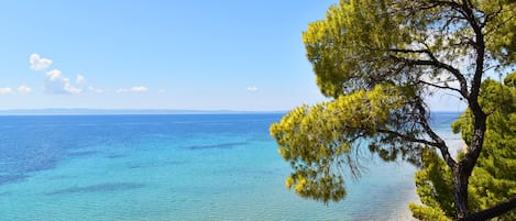 Vista para a praia ou o mar