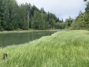 The Estuary at high tide