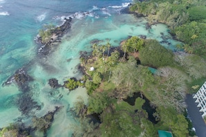 Aerial View Carlsmith Beach Park