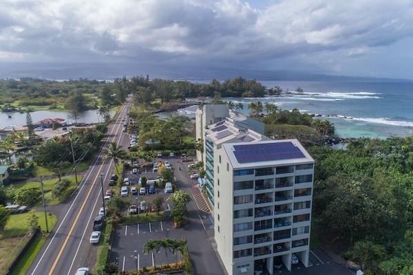 Aerial View of Condo and Carlsmith Beach Park