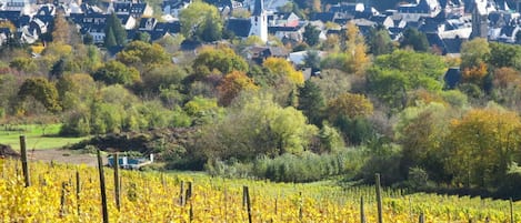 Sky, Property, Plant, Tree, Building, Land Lot, Slope, Shade, Asphalt, Wood