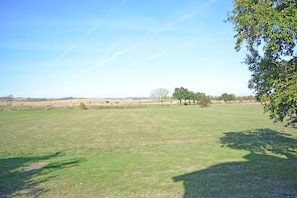 Oklassificerad bild, 4 av 11, knapp