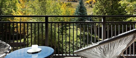 Year round you can relax on your balcony and soak in the Colorado sunshine and incredible view of Aspen Mountain.