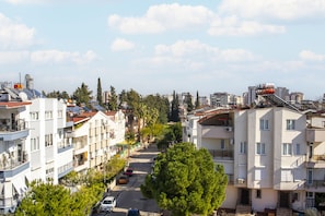Vista desde la habitación