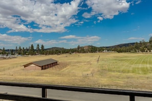 Wide Open Views from the front deck