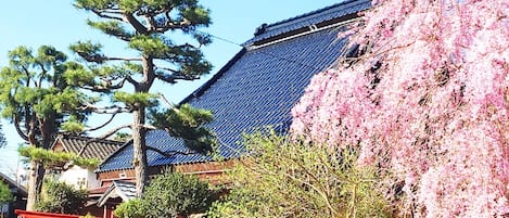 ・[Annex and cypress exterior] A renovated old folk house