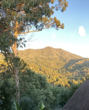 Mill Valleys beautiful Mt Tam, viewed from the Master a Suite bathroom