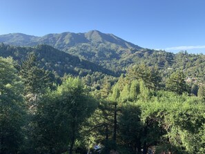 Mt Tamalpais, from the dining room 