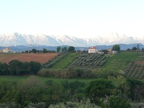 Vue aérienne
