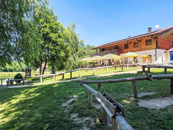 Shade, Eco Hotel, Lumber, Log Cabin, Park, Outdoor Furniture, Outdoor Table, Farmhouse, Restaurant