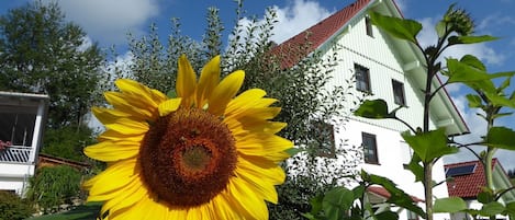 erholungsraum Karsee - Ferienwohnung