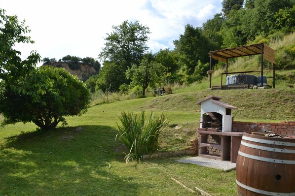 Propriété, Lot Terre, Herbe, Arrière-Cour, Cour, Arbre, Immobilier, Zone Rurale, Maison, Pelouse