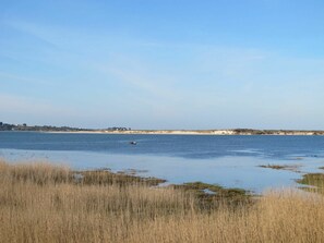 Natürlichen Umgebung, Wasser, Natürliche Landschaft, Sumpf, Horizont, Bank, Ökoregion, Graspflanze