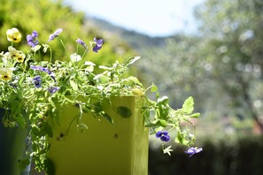 Fiori tutto l'anno!