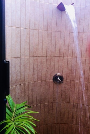Master bathroom outdoor shower
