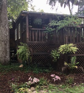 Secluded Riverfront Retreat in Steinhatchee, FL