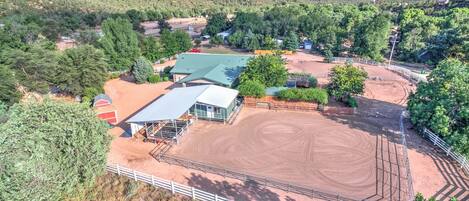 Your horse wants to stay in one of the 2 horse stalls that adjoin DIAMOND SPIRIT RANCH STUDIO GUEST HOUSE, our cozy mountain retreat.