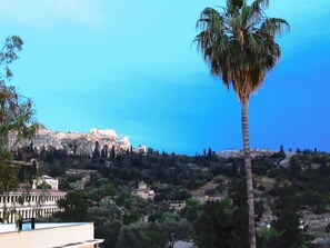 view