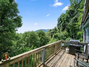 Summer Deck View