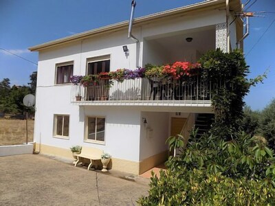 Picture of villa