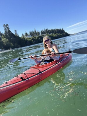 3 Kayaks + life jackets